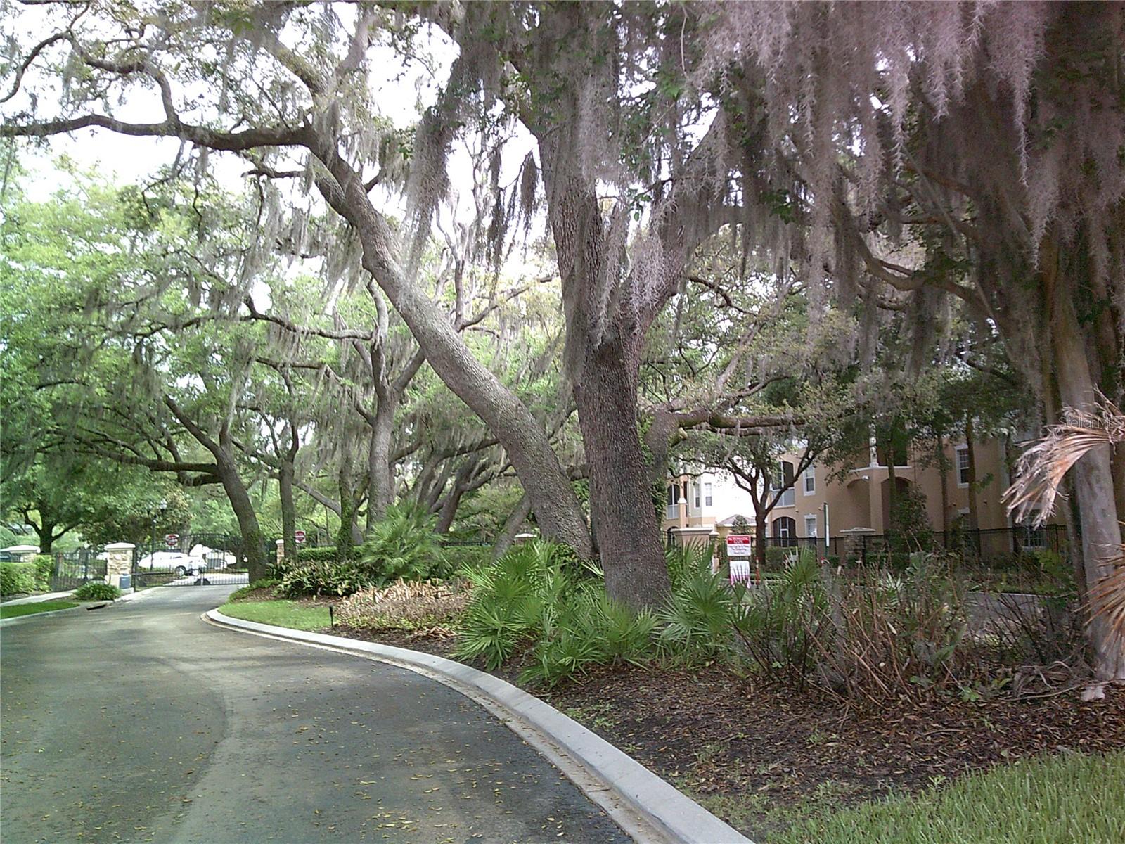 6292 Twain St #107 Property Photo 14