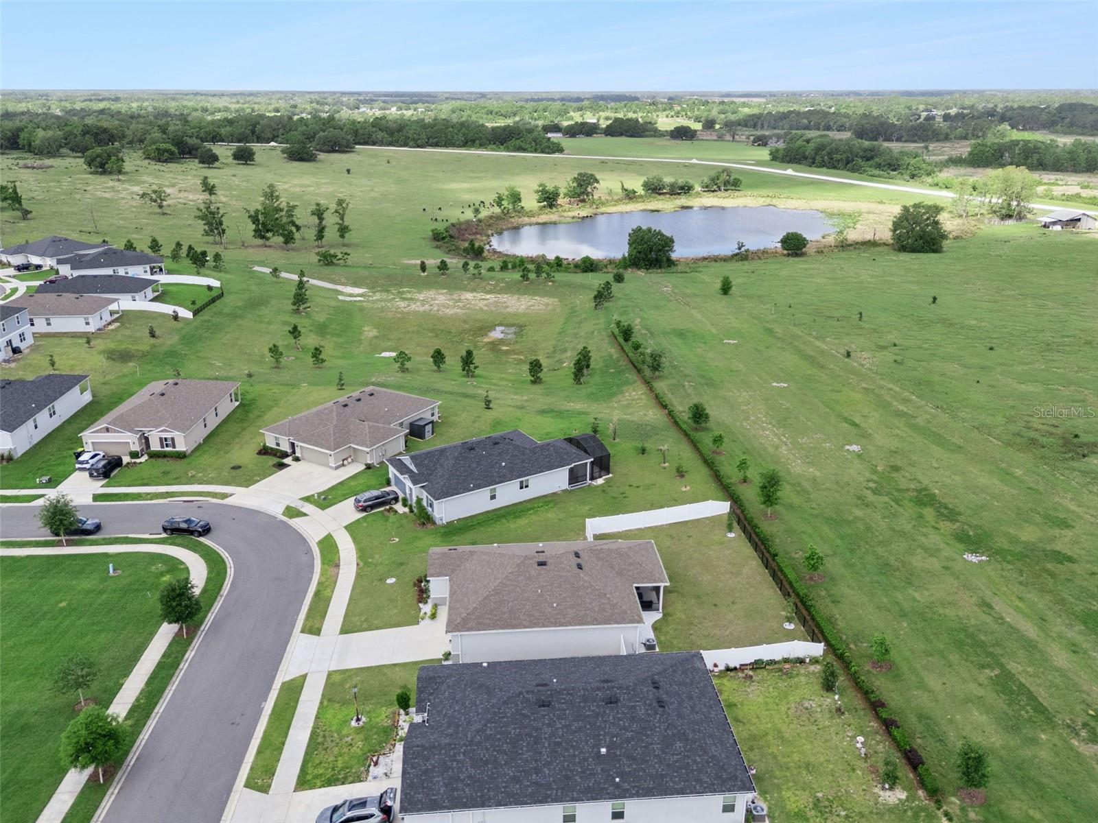 1682 Littleleaf Boxwood Loop Property Photo 59