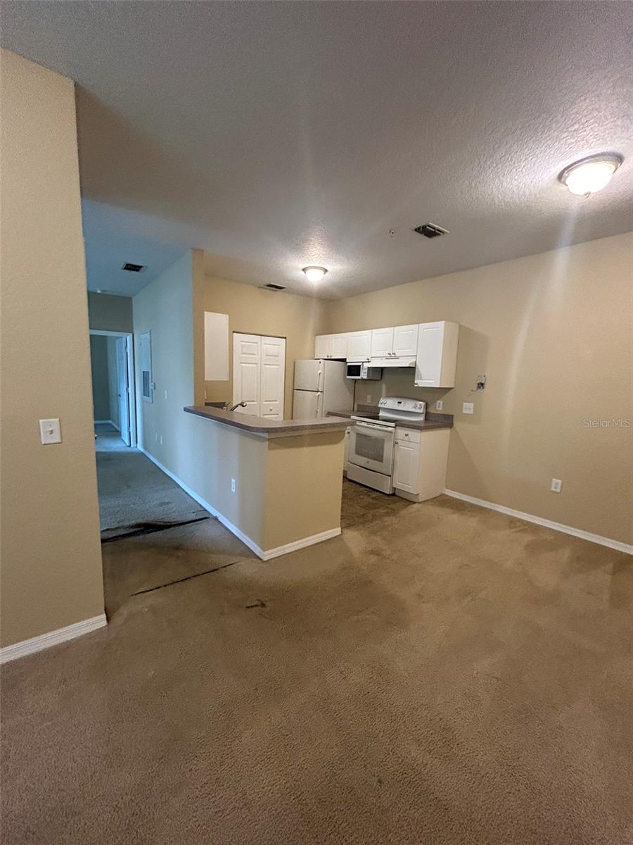 823 Grand Regency Pt #102 Property Photo 10