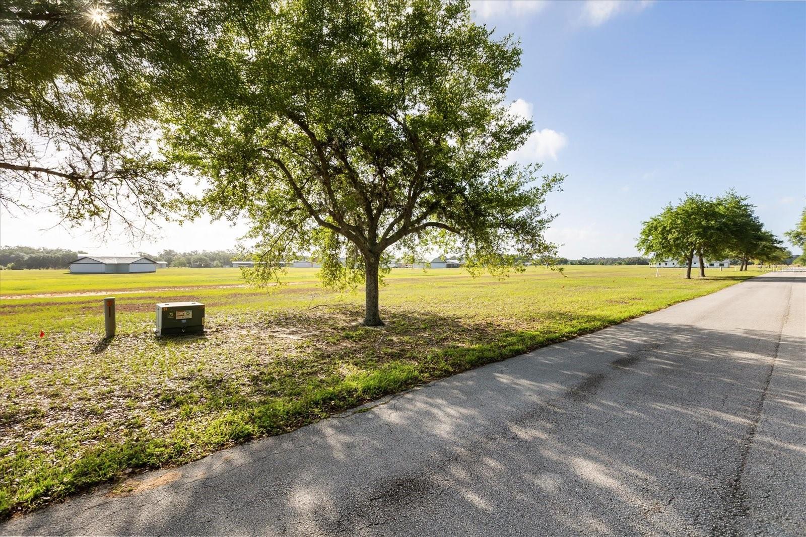 Grass Roots Rd #lot #11 Property Photo 20