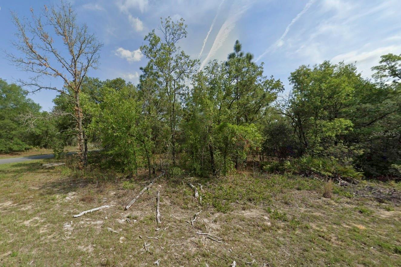1389 W Pendleton St Property Photo