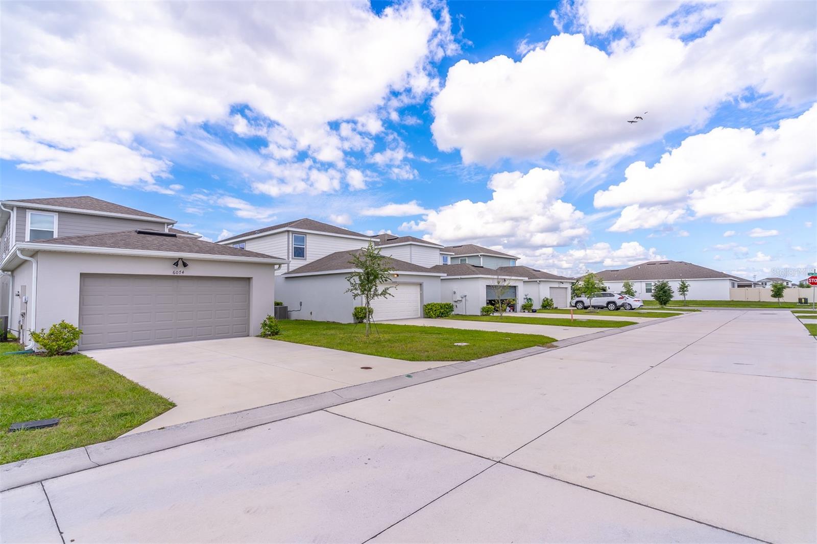 6074 Windy Leaf Aly Property Photo 51