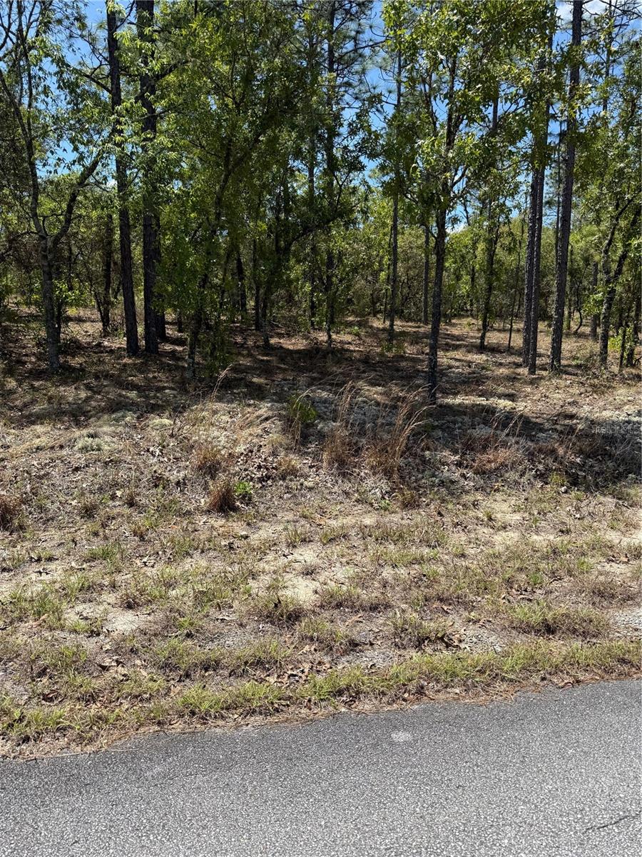LOT# 8 SW MINEOLA LN Property Photo 1
