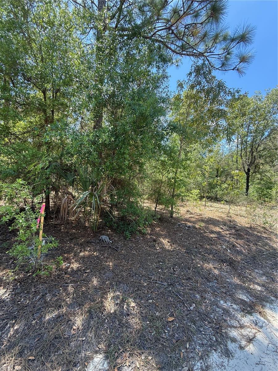 NE 118TH LN Property Photo 1
