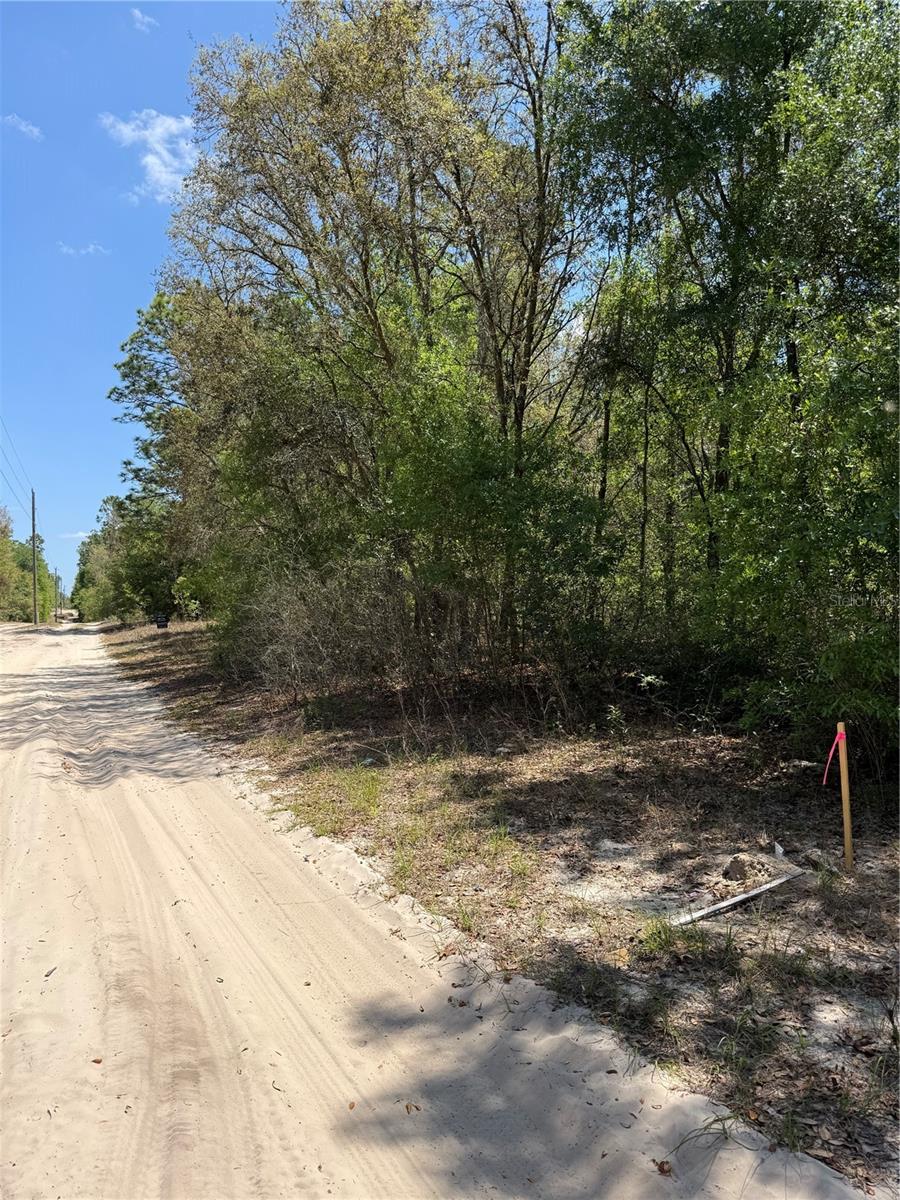 Ne 118th Ln Property Photo 2