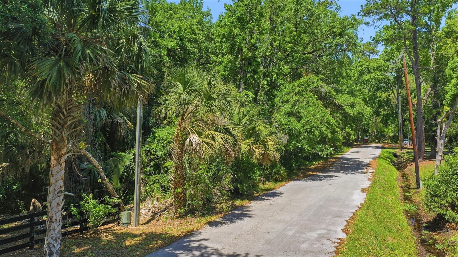 Delk Rd Property Photo 12