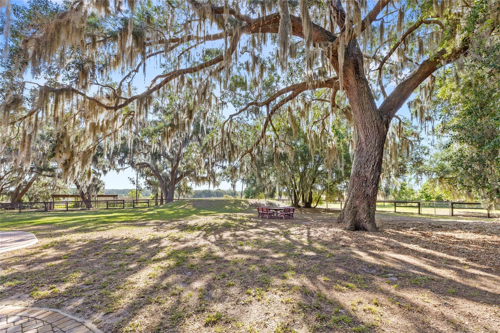 10925 Arrowtree Blvd Property Photo 47