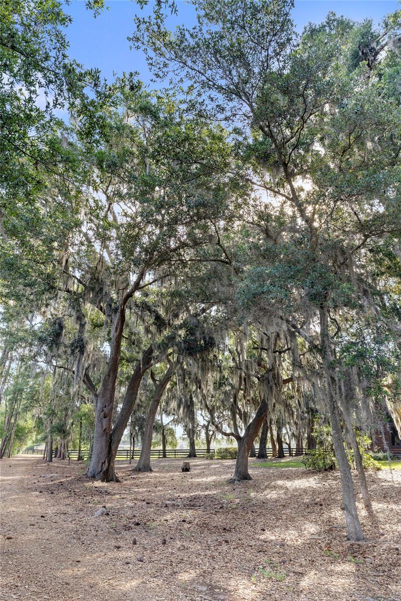 10925 Arrowtree Blvd Property Photo 88