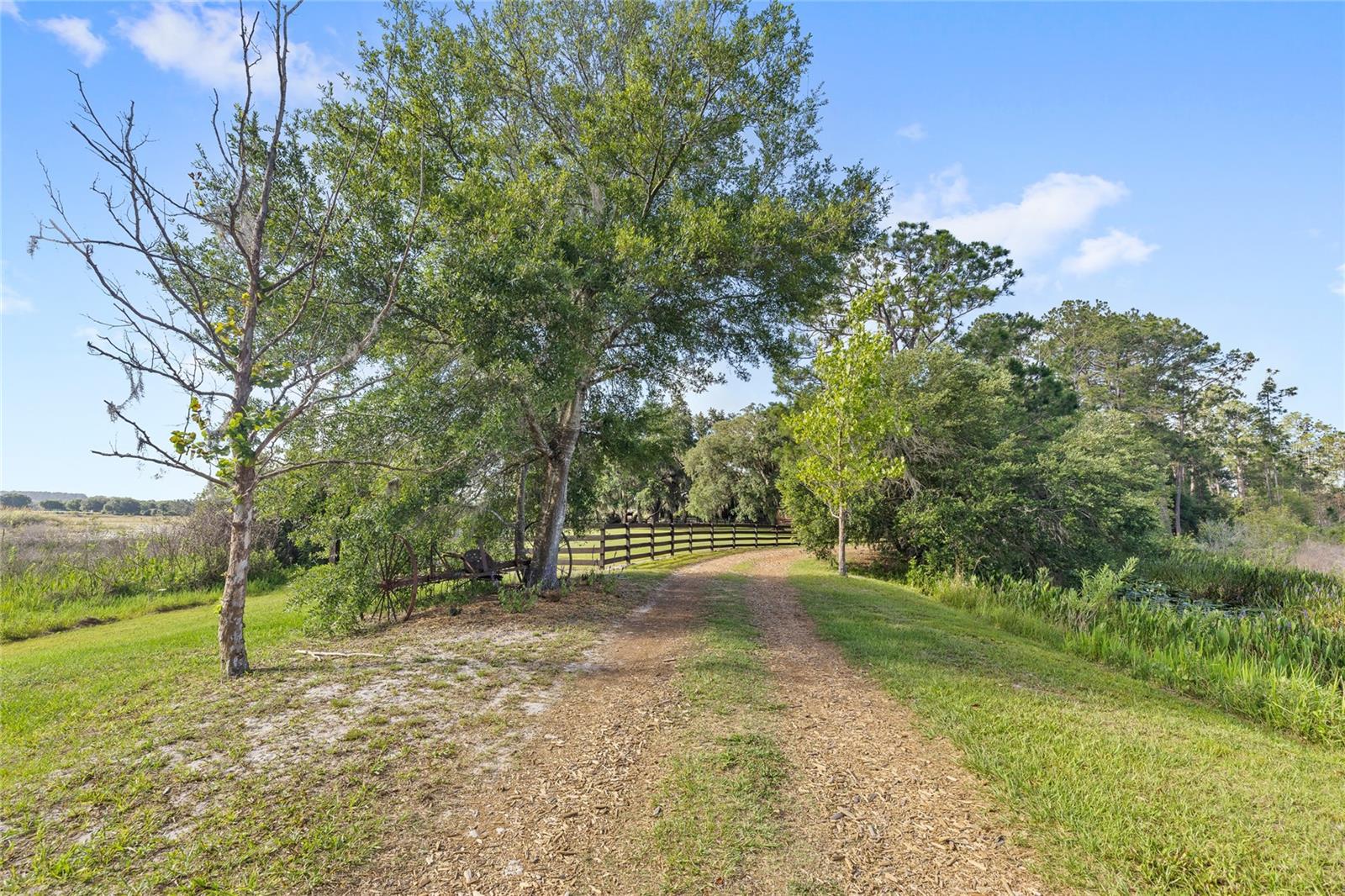 10925 Arrowtree Blvd Property Photo 89