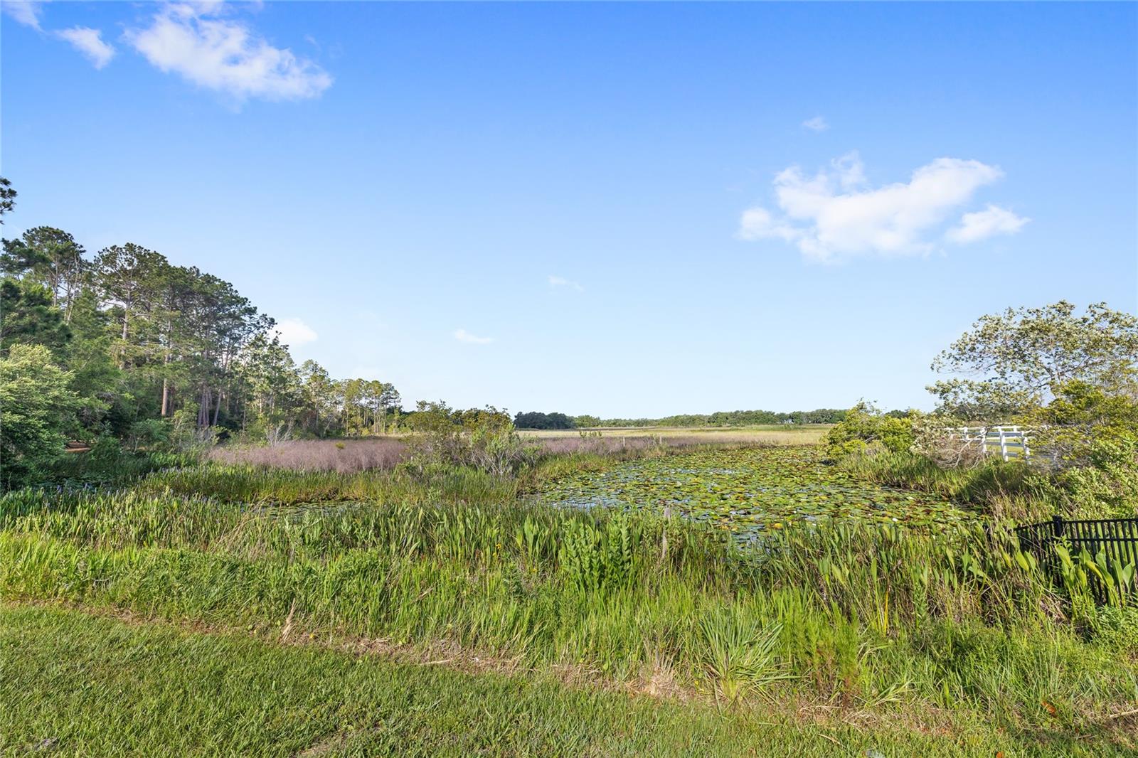 10925 Arrowtree Blvd Property Photo 91