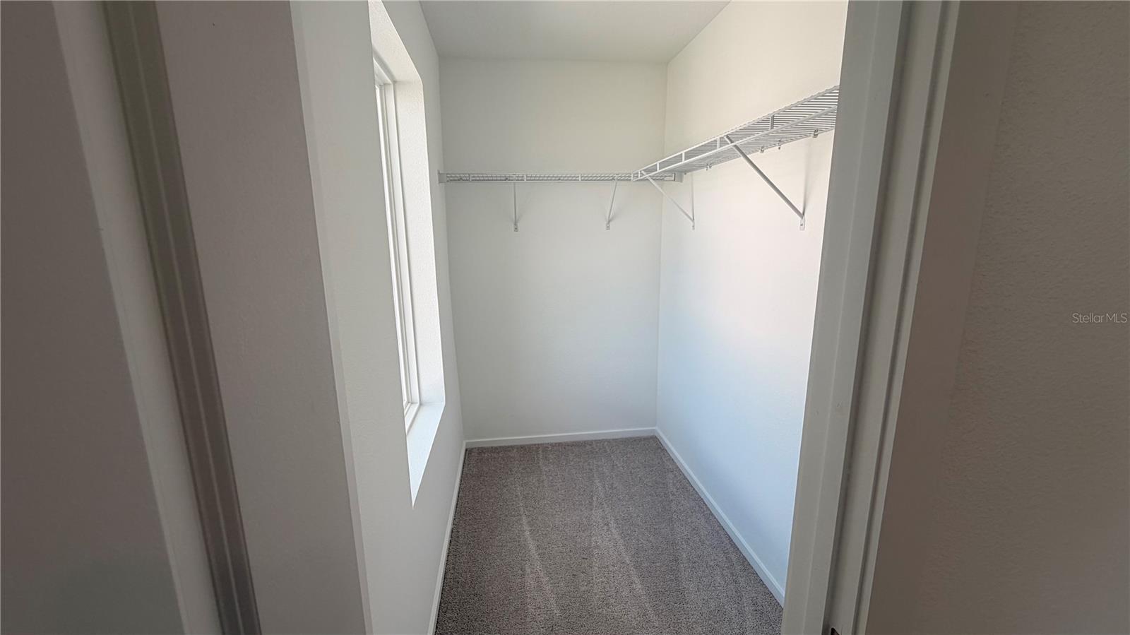 806 Lynx St Property Photo 18