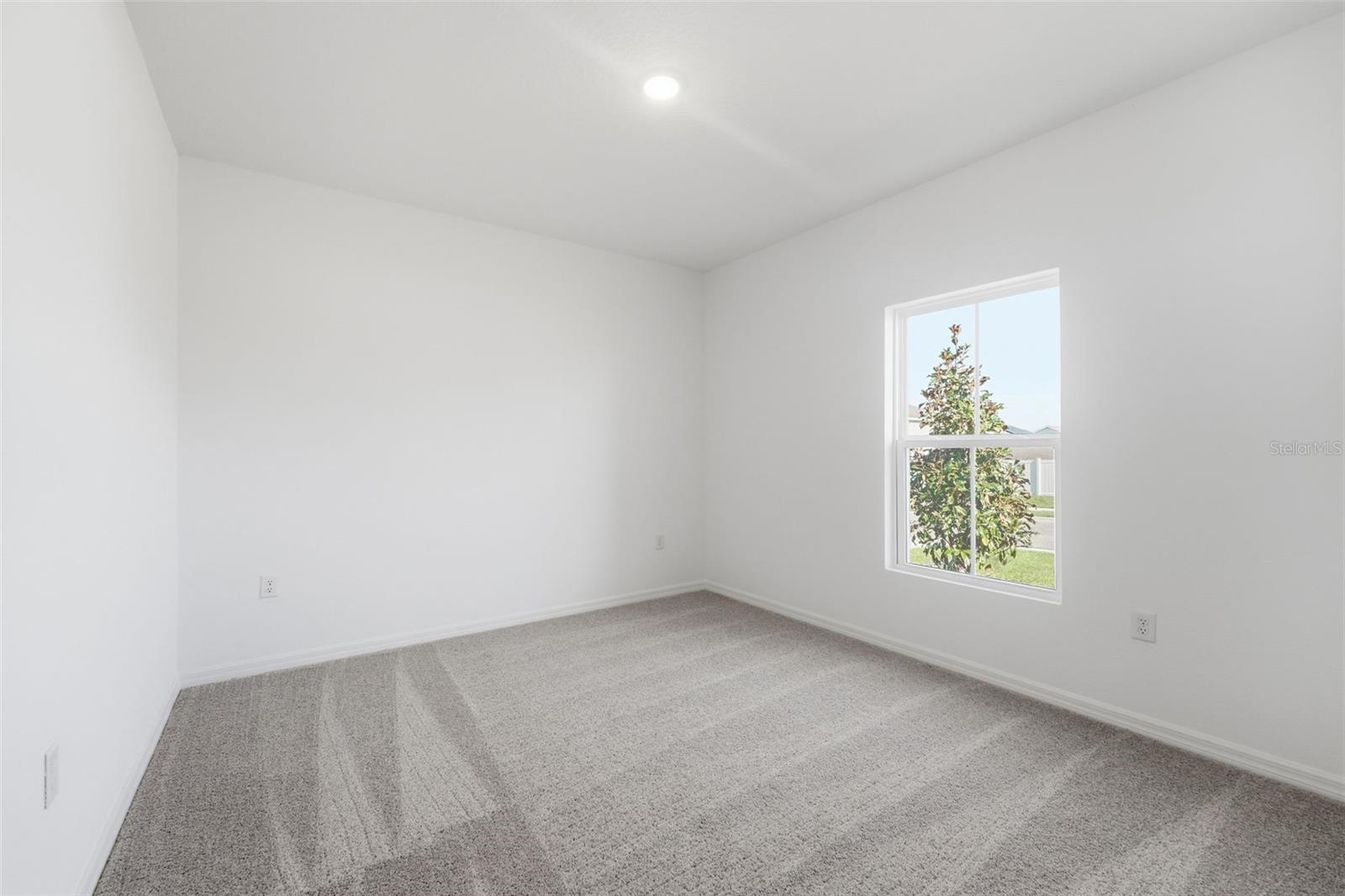 27468 Black Kite Ave Property Photo 16