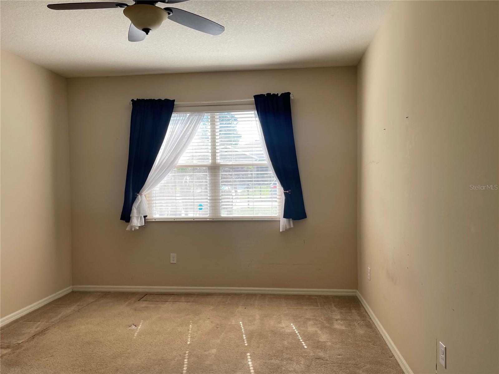 10026 Weathers Loop Property Photo 20