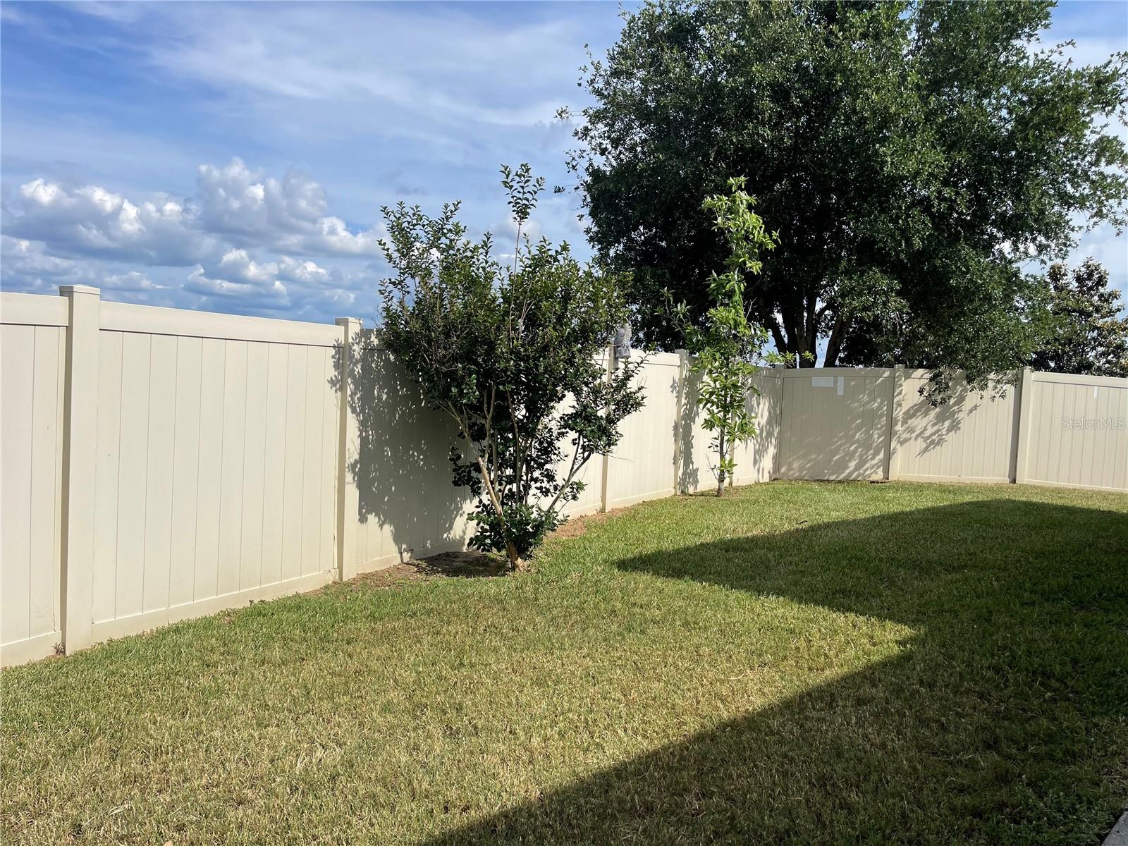 10026 Weathers Loop Property Photo 25