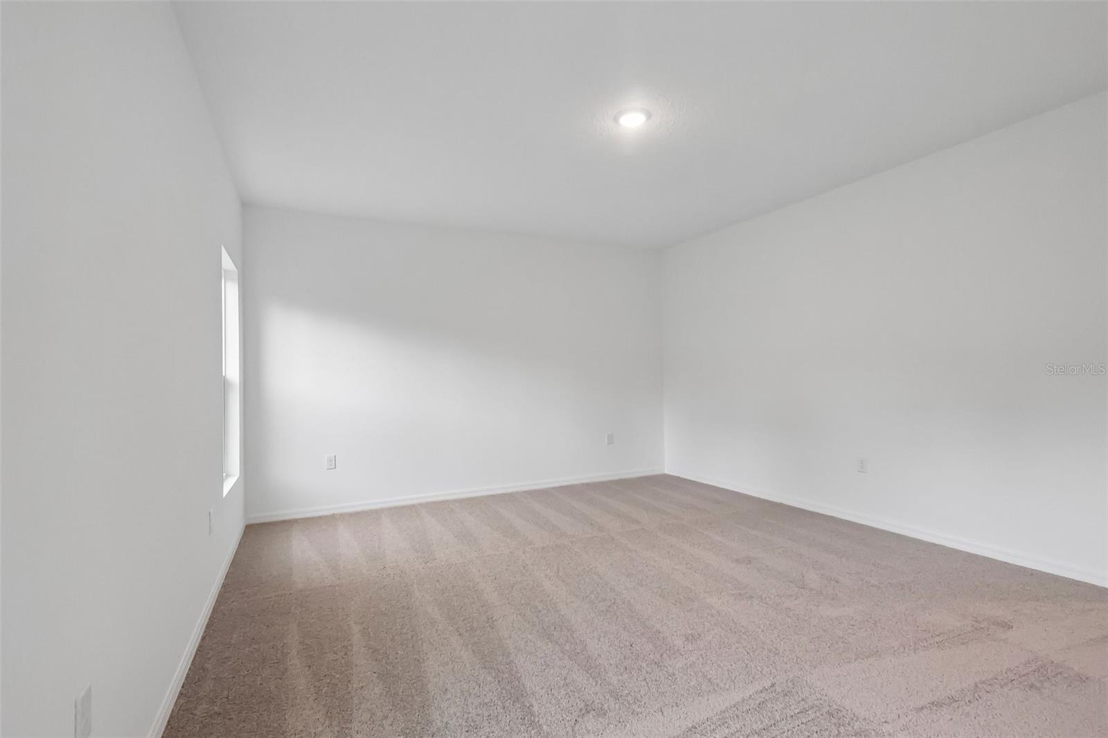 27456 Black Kite Ave Property Photo 20