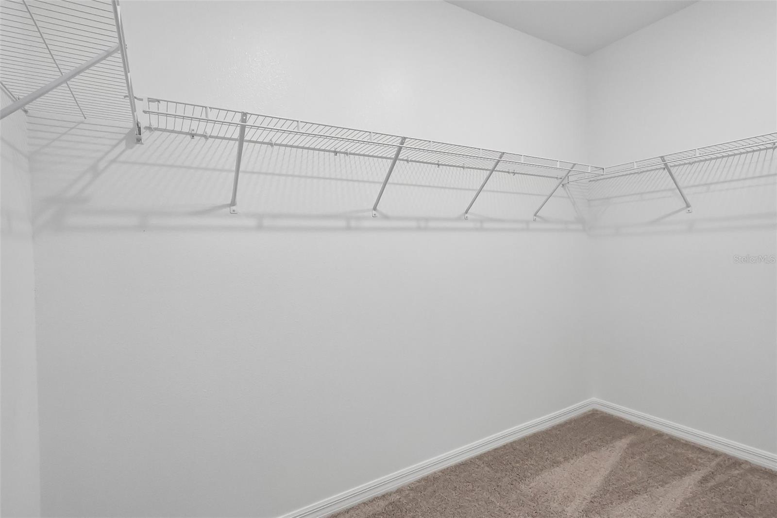 27456 Black Kite Ave Property Photo 22