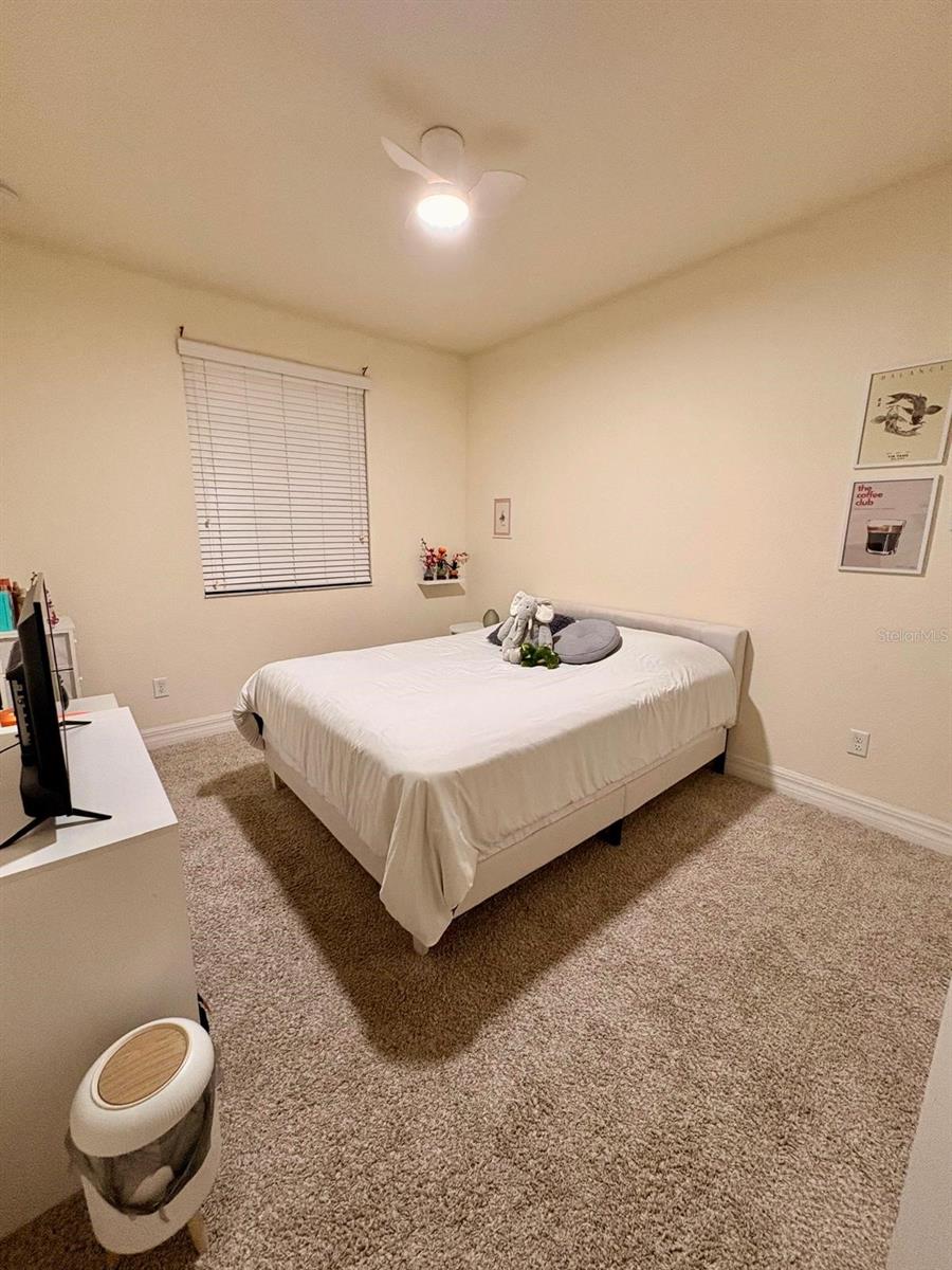 O6400537 Property Photo 13