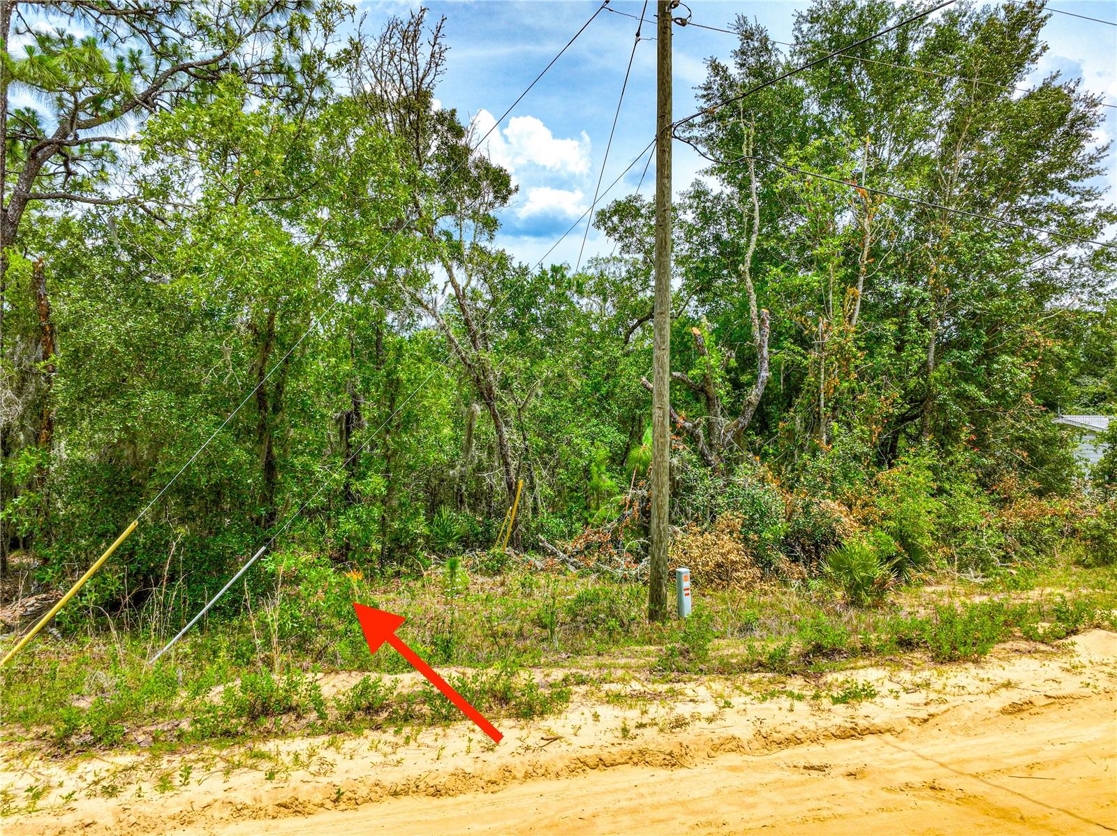 128 Carmichael Rd Property Photo 5