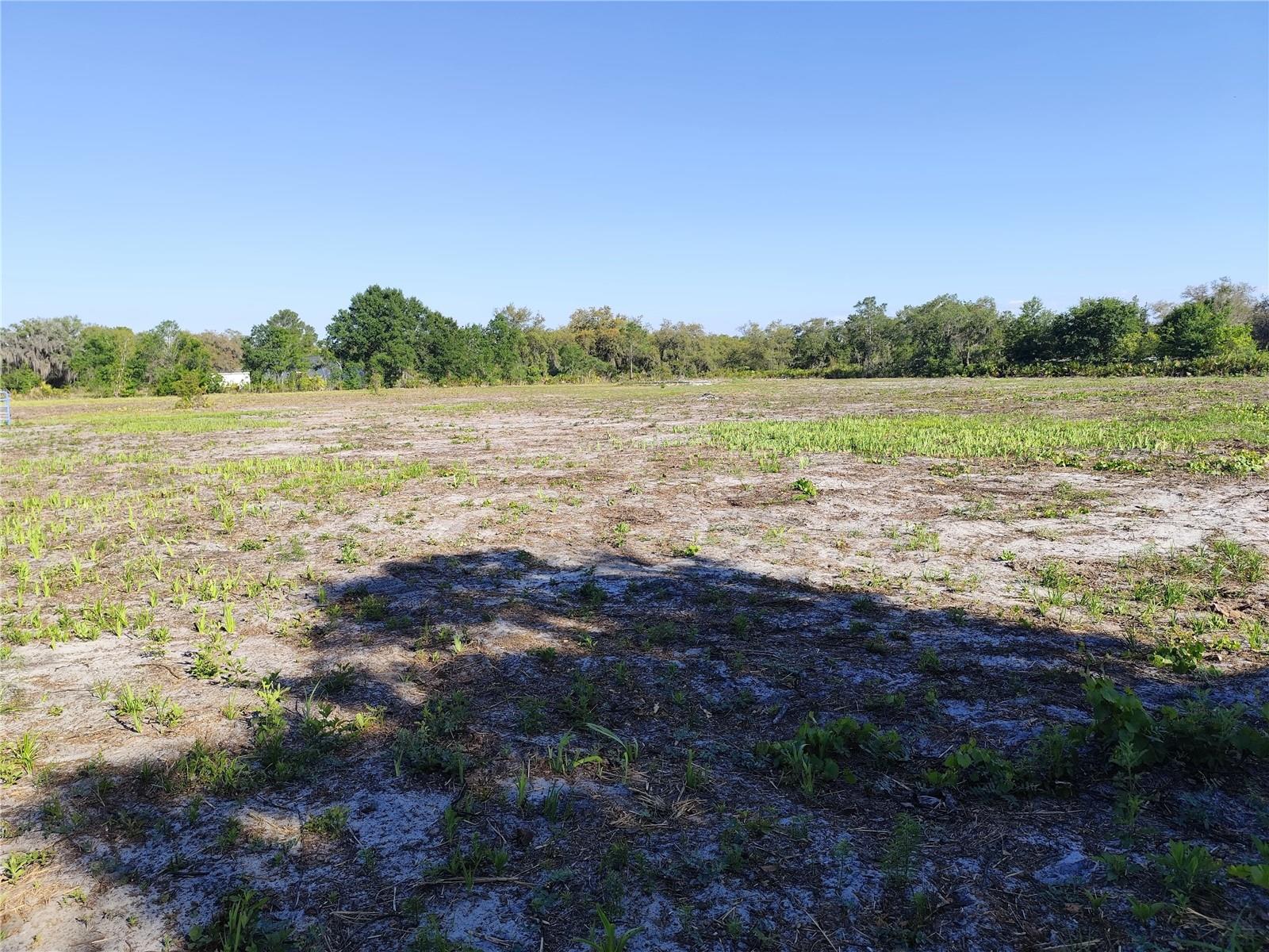 4535 Sarver Ave Property Photo 7