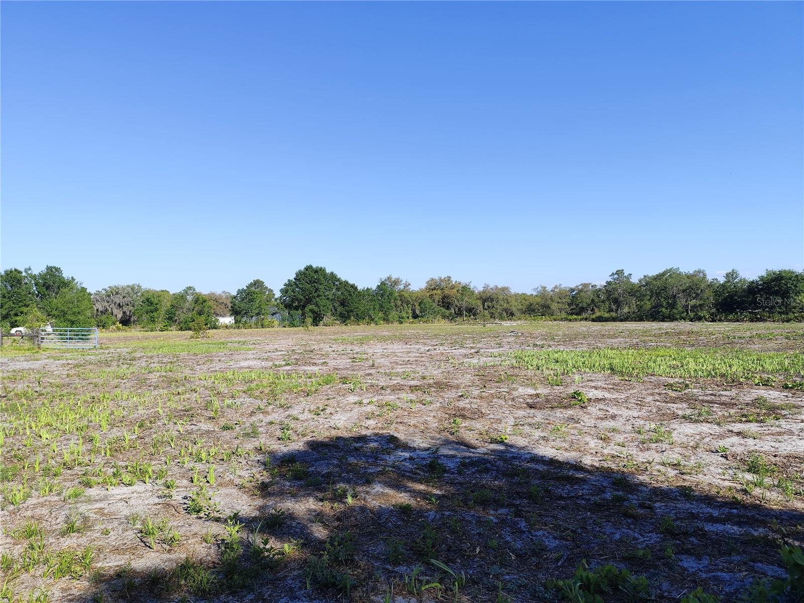4535 Sarver Ave Property Photo 8