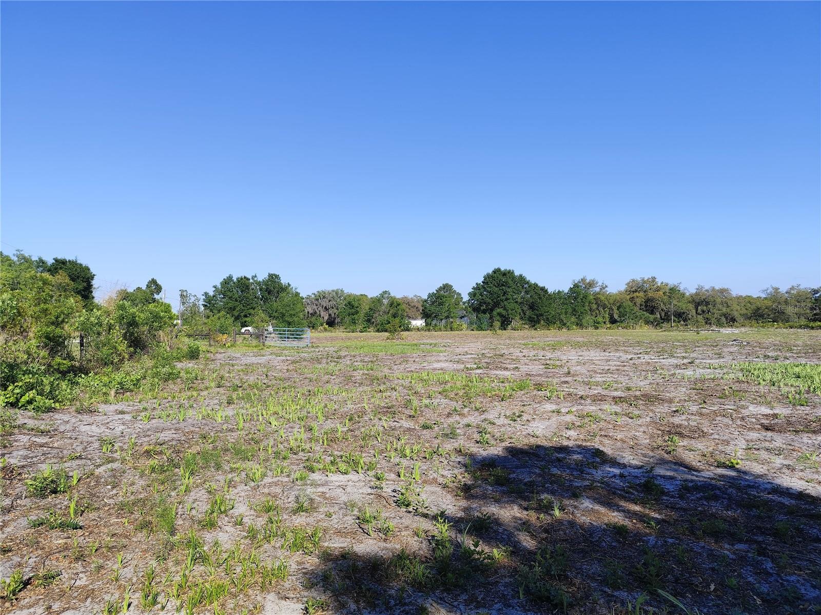 4535 Sarver Ave Property Photo 12