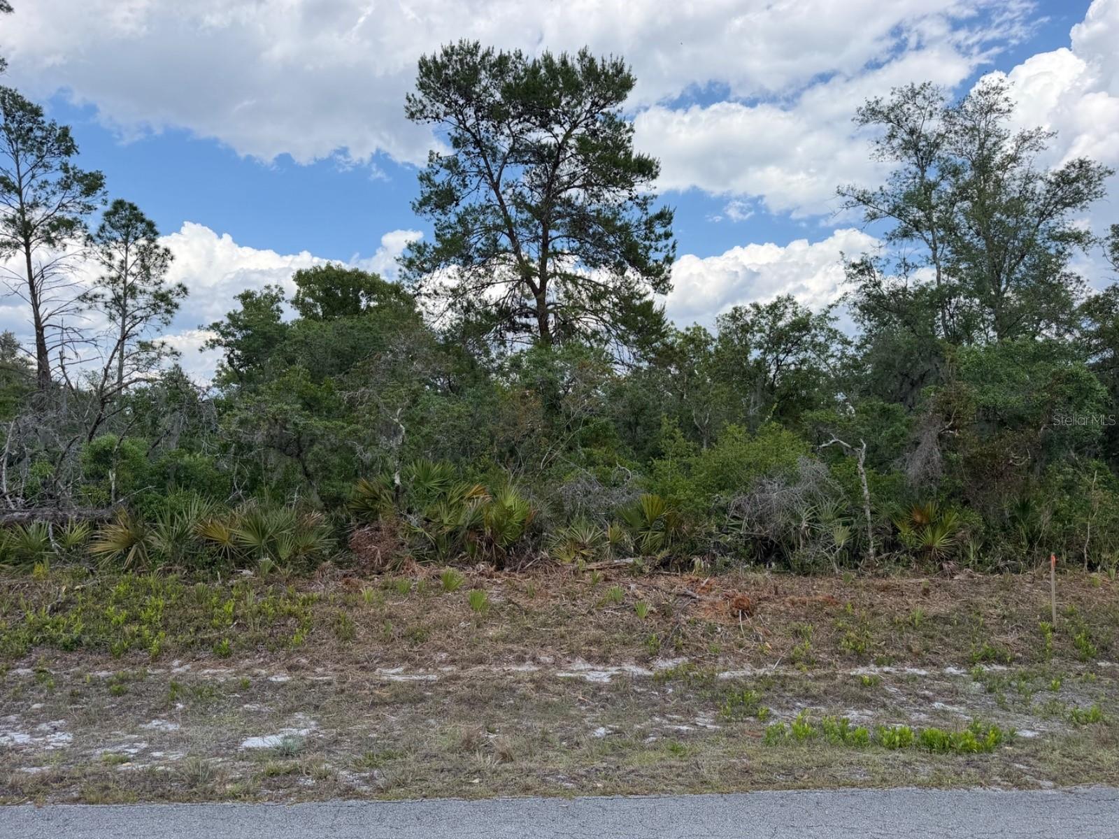 7524 YUMURI ST Property Photo 1