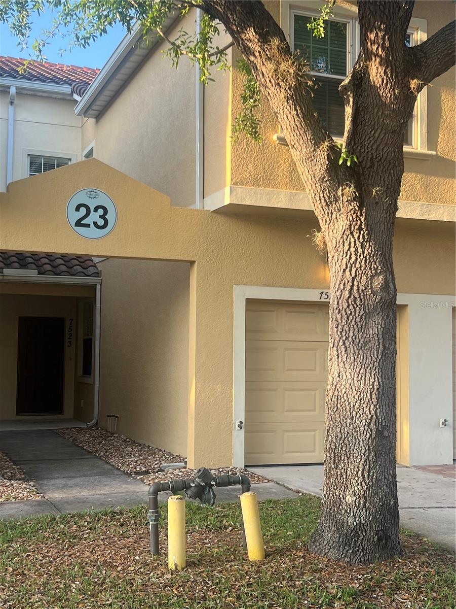 7523 Pellham Way Property Photo 1