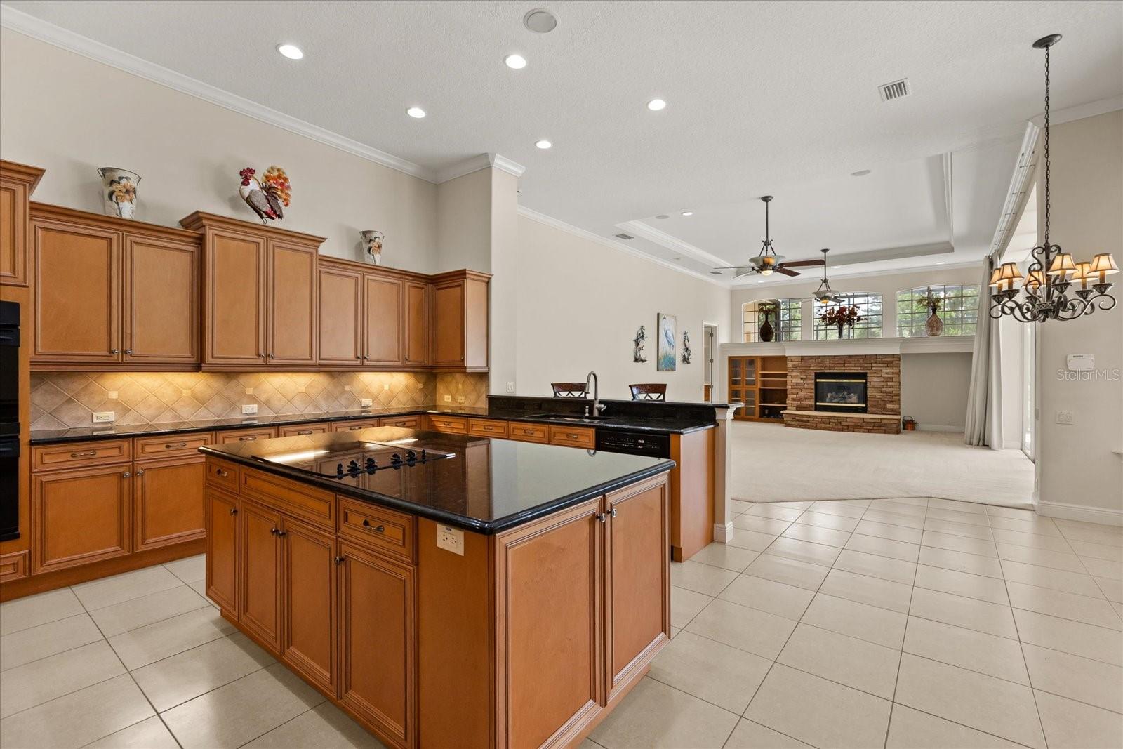 420 Valley Stream Dr Property Photo 3