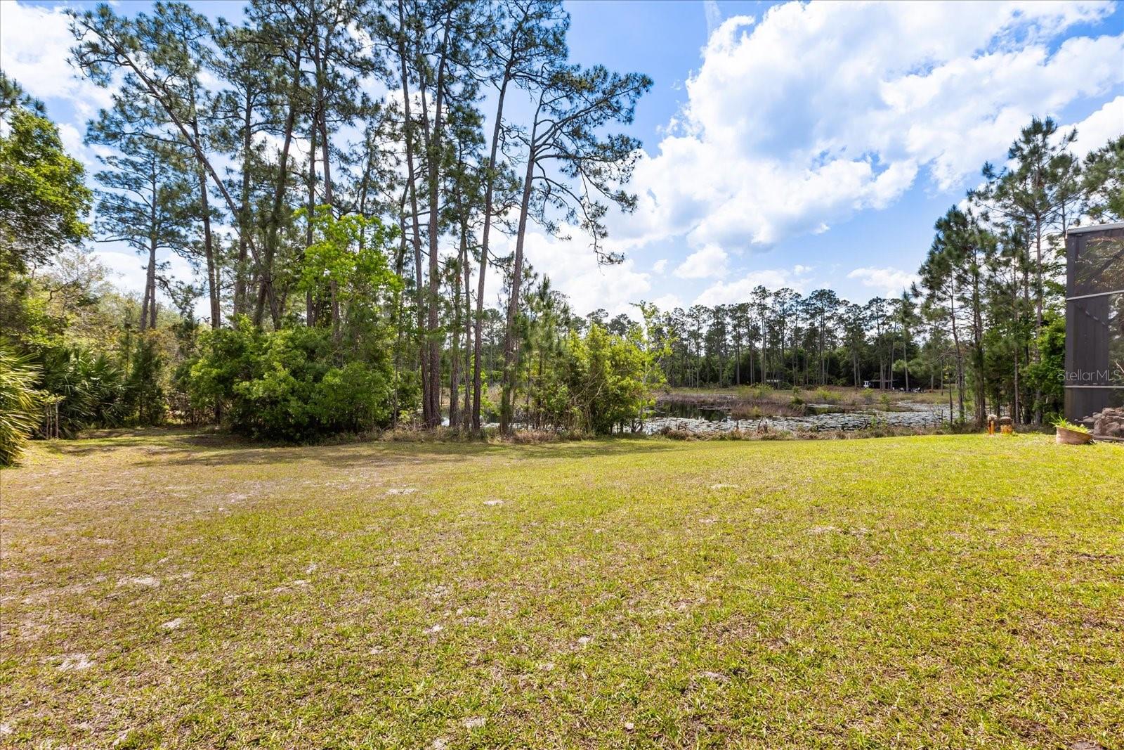 420 Valley Stream Dr Property Photo 53