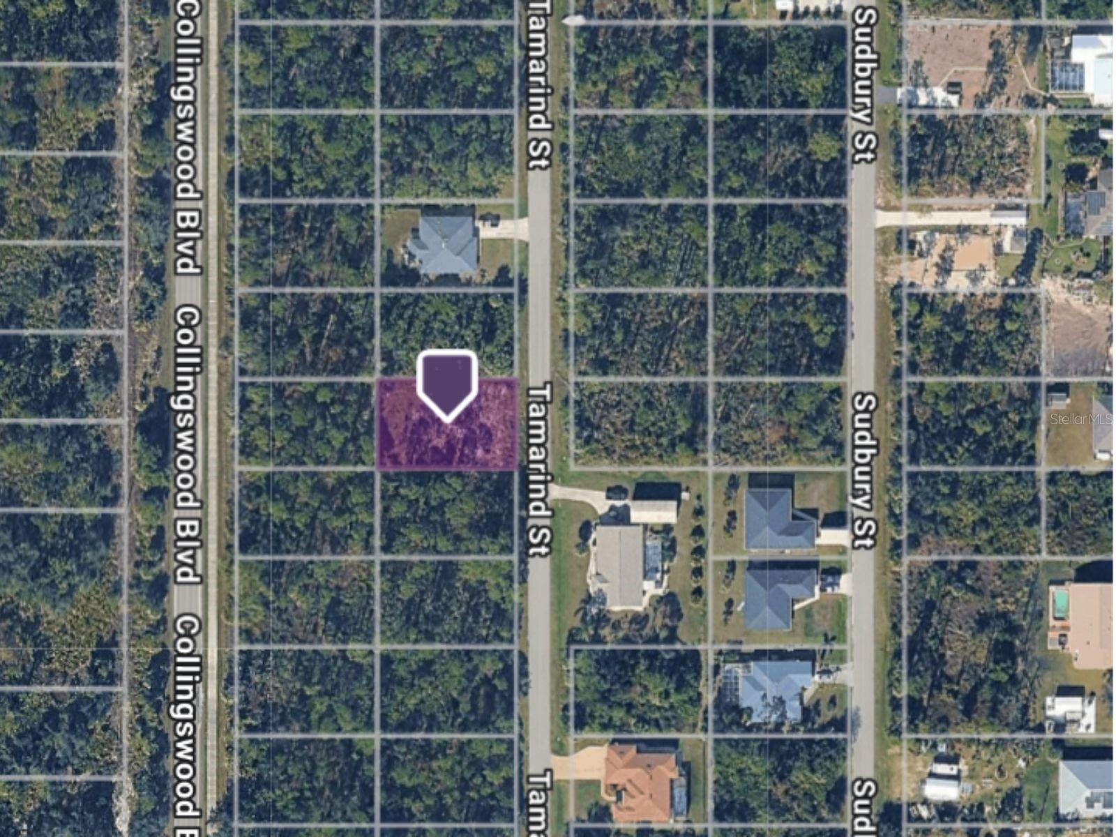 3133 TAMARIND ST Property Photo 1