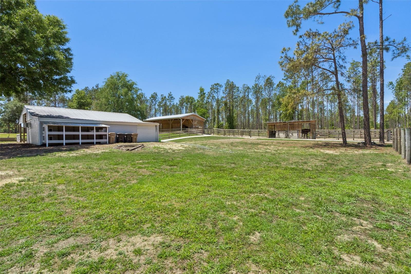 20701 County Road 44a Property Photo 27