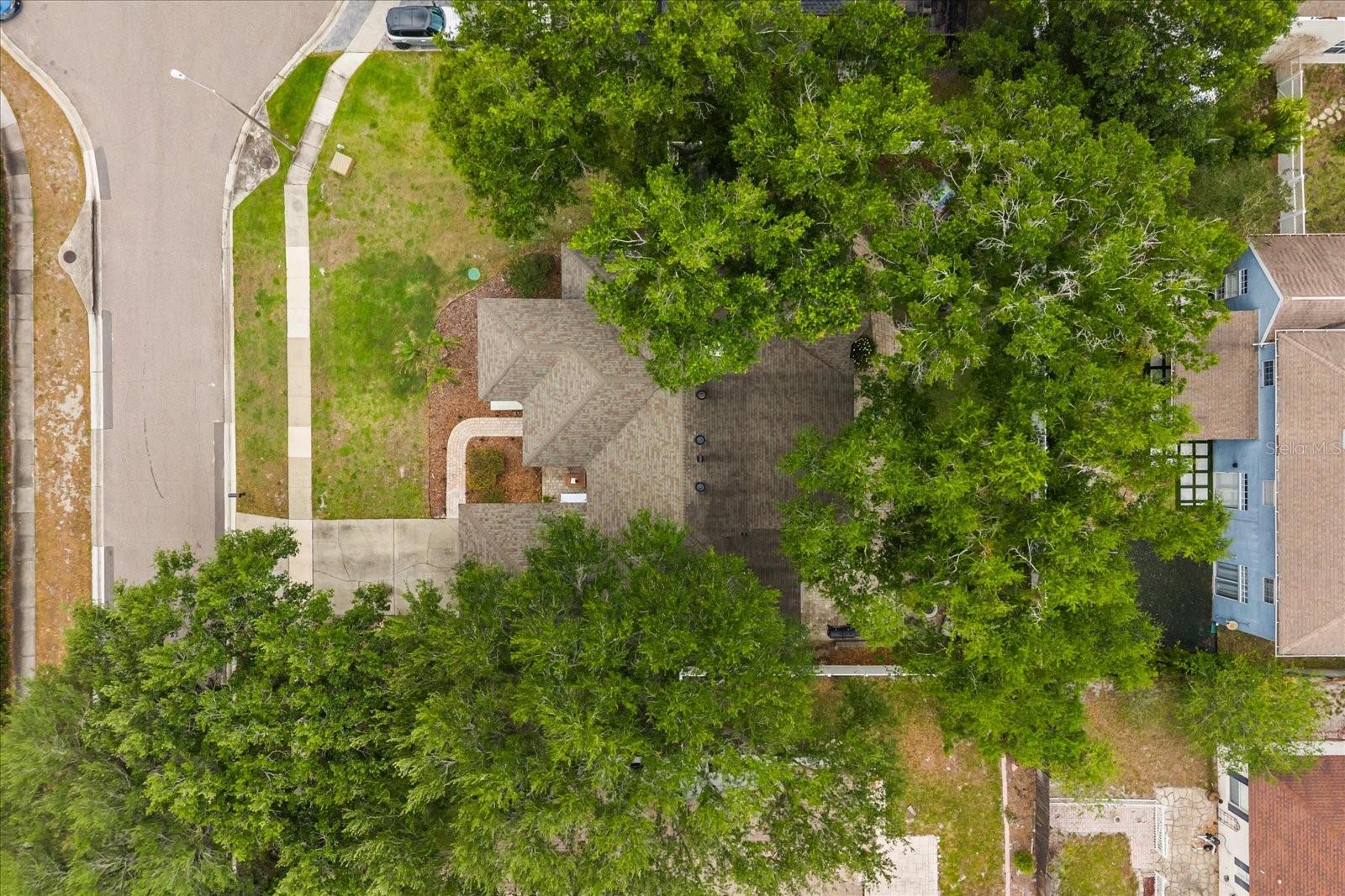 1934 Thoroughbred Dr Property Photo 42