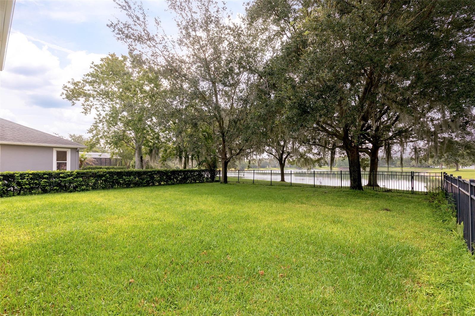 13844 Amelia Pond Dr Property Photo 3