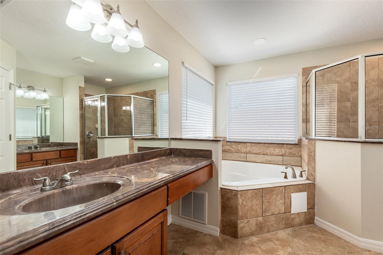 13844 Amelia Pond Dr Property Photo 18