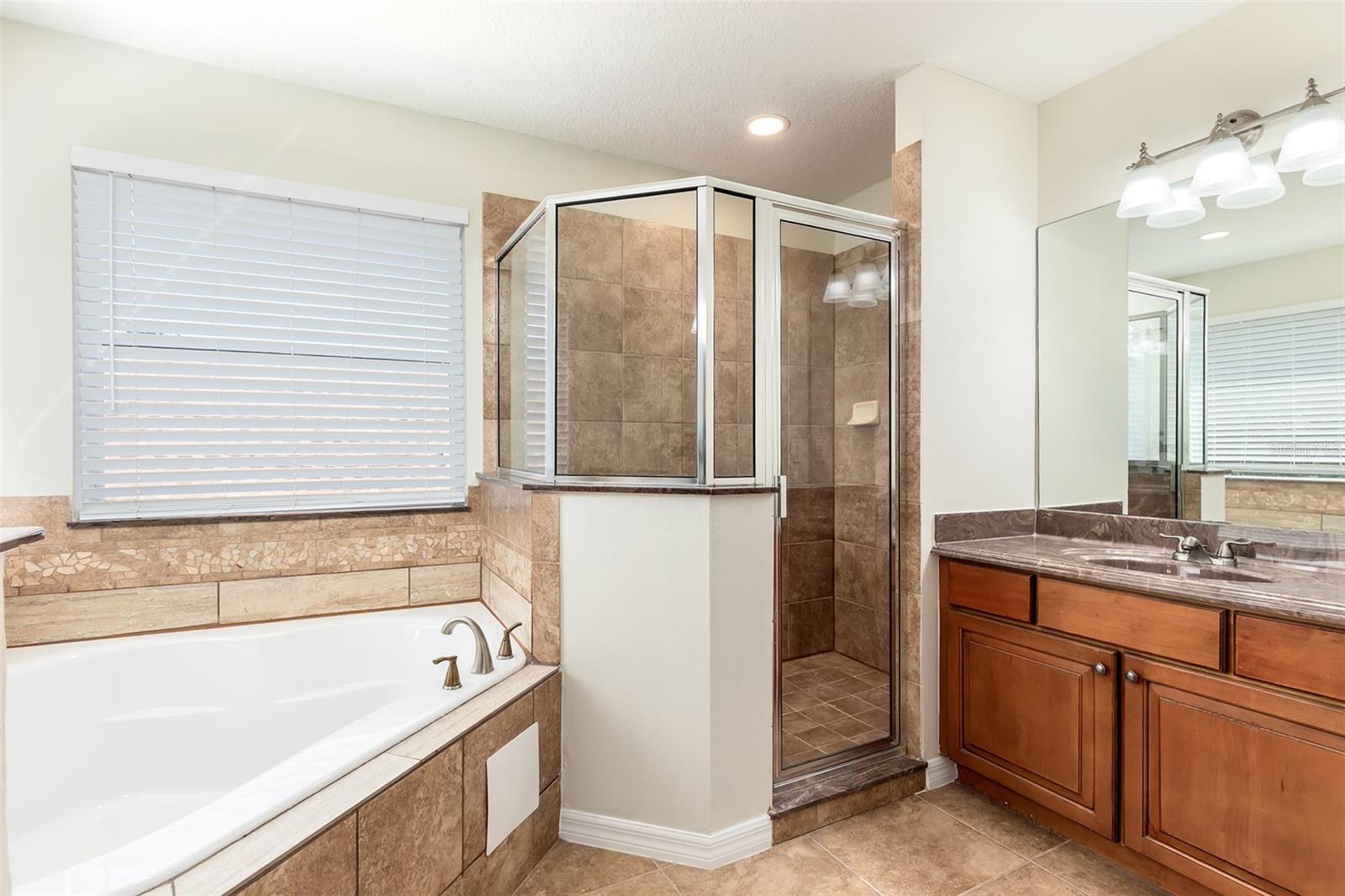 13844 Amelia Pond Dr Property Photo 19
