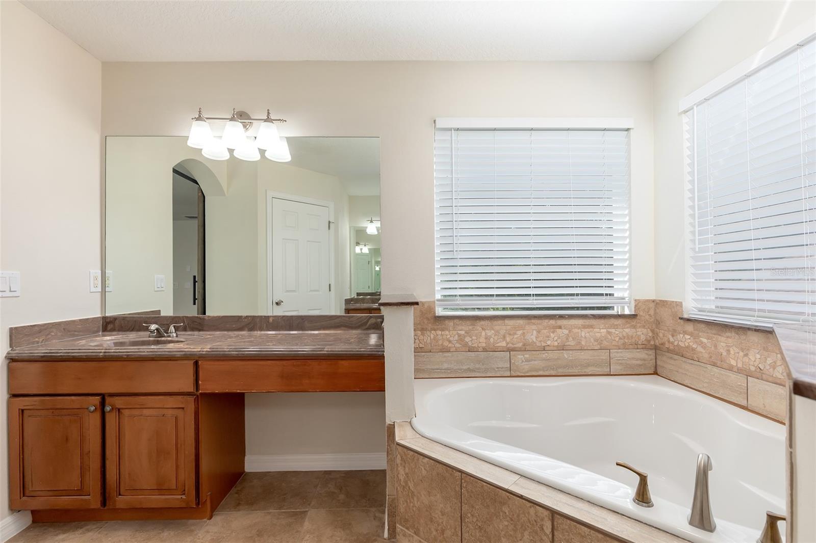 13844 Amelia Pond Dr Property Photo 20