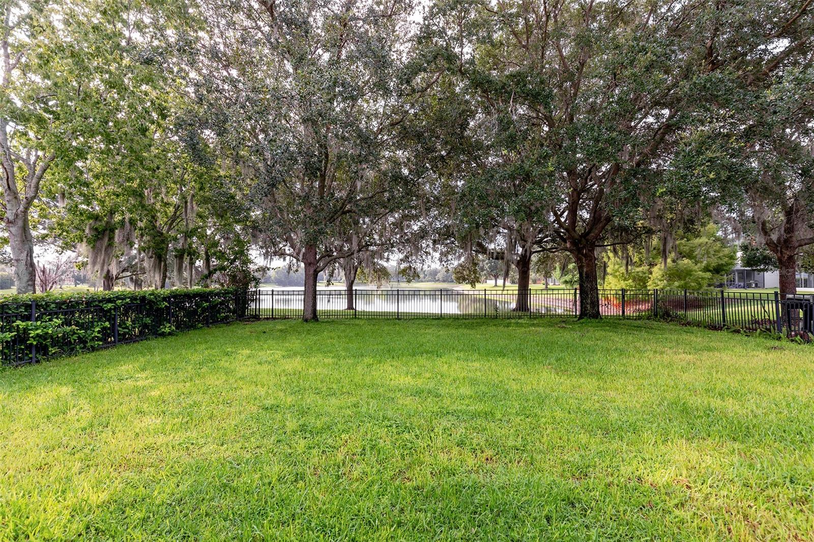 13844 Amelia Pond Dr Property Photo 31