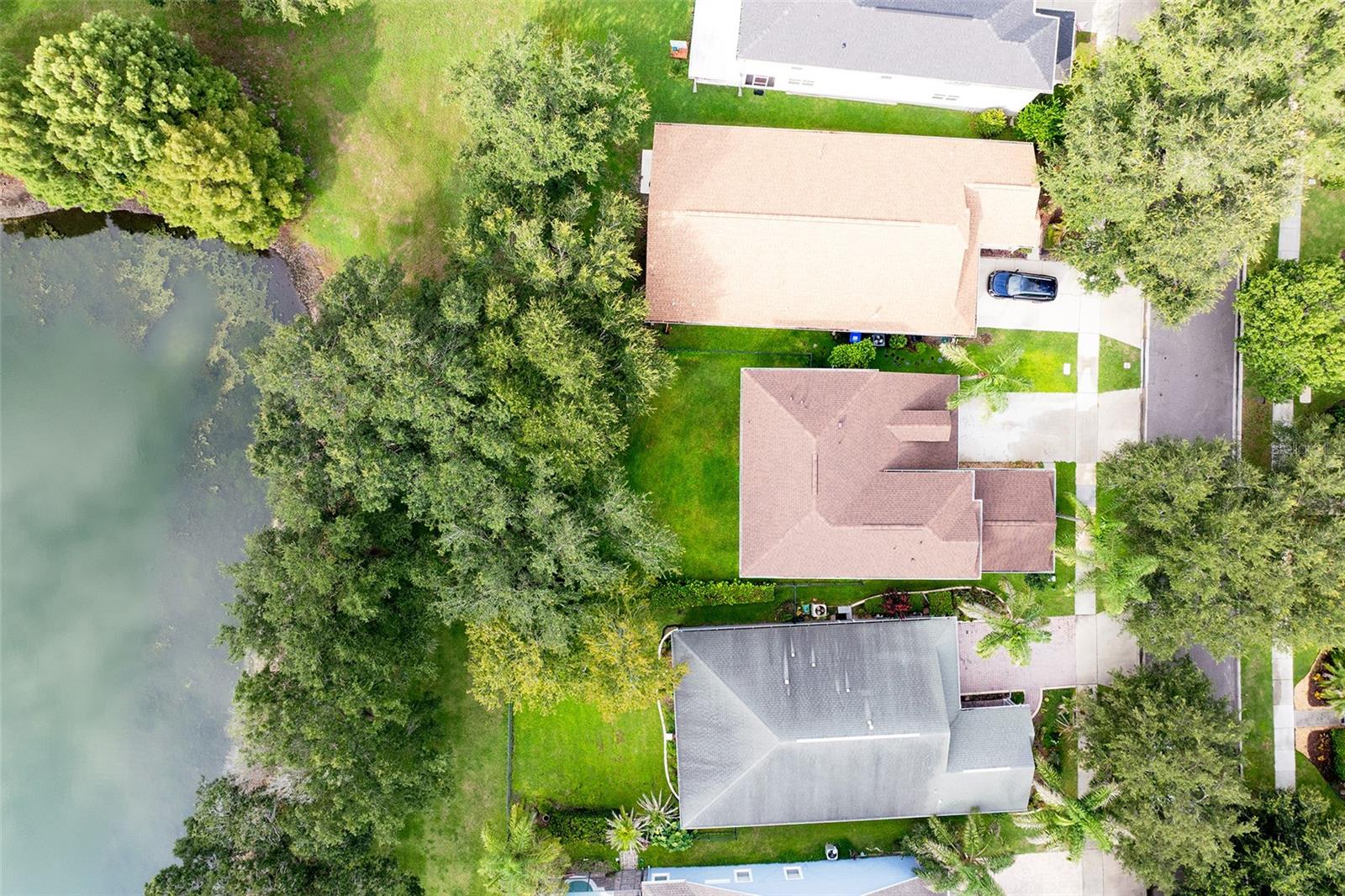 13844 Amelia Pond Dr Property Photo 36