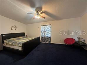 746 Maderia Ct Property Photo 25