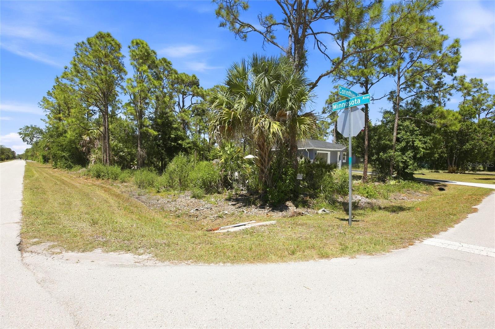 27396 CORINTHIAN, DR Property Photo 1