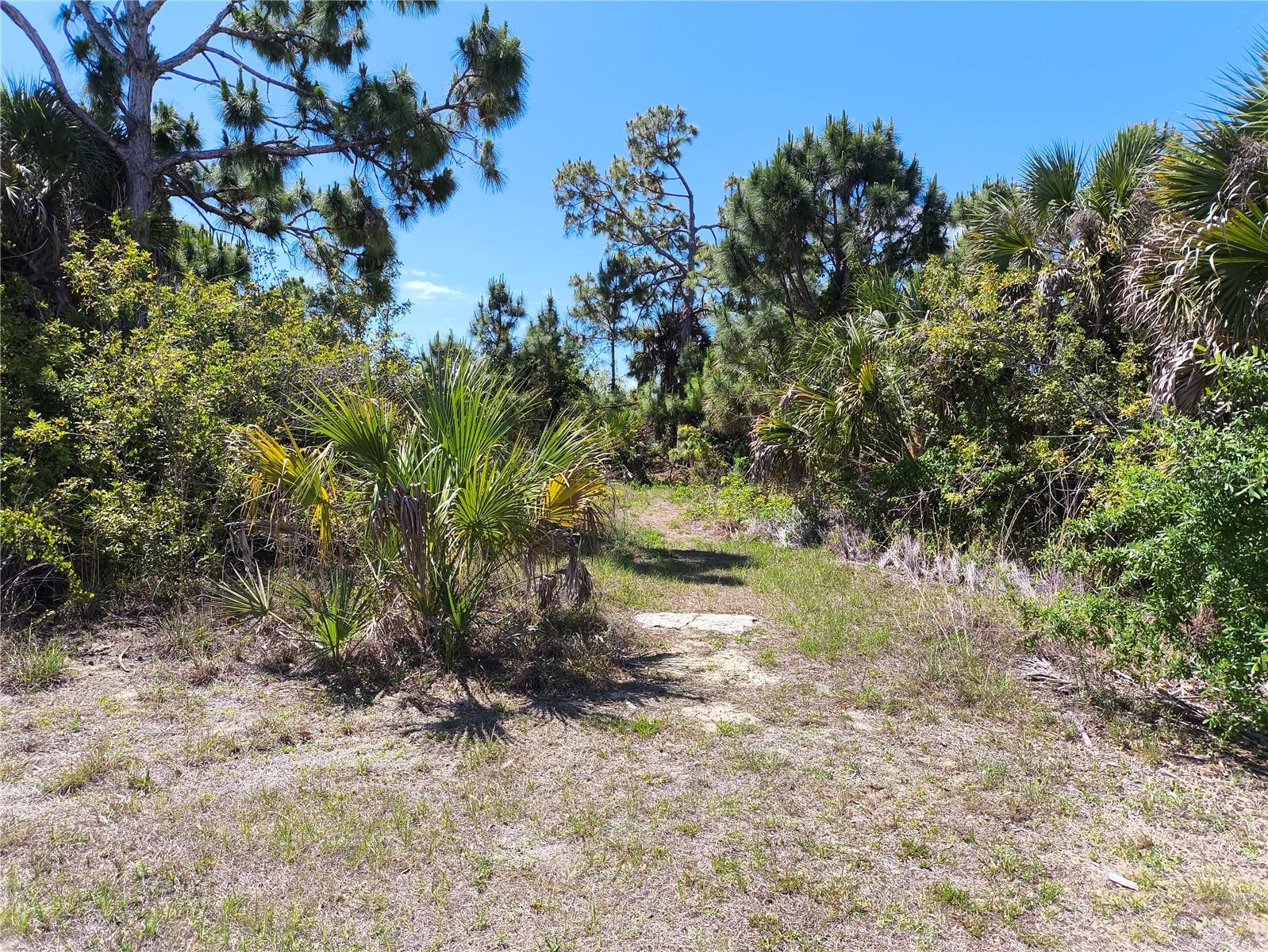 12289 CLARENDON AVE Property Photo 1