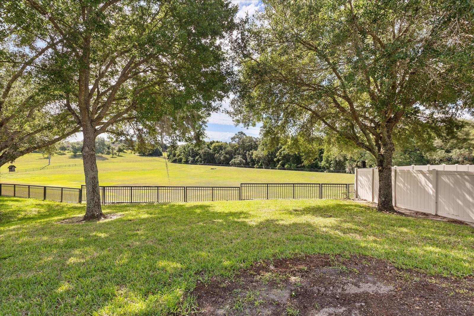 20934 Sullivan Ranch Blvd Property Photo 23