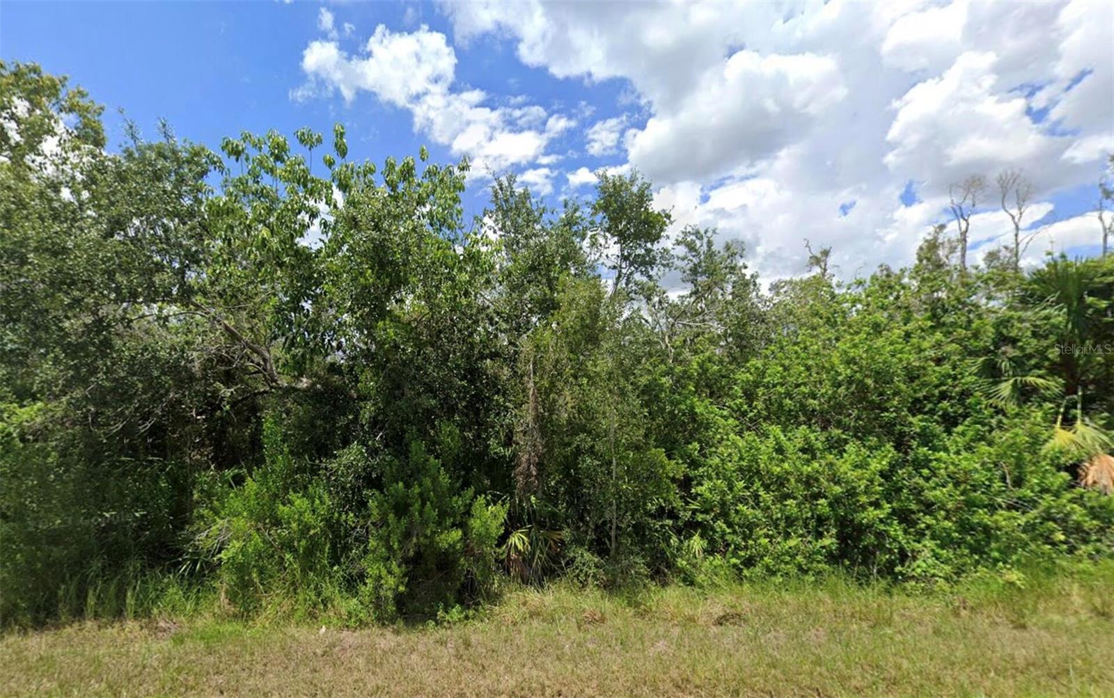 14276 Myakka Ave Property Photo 3