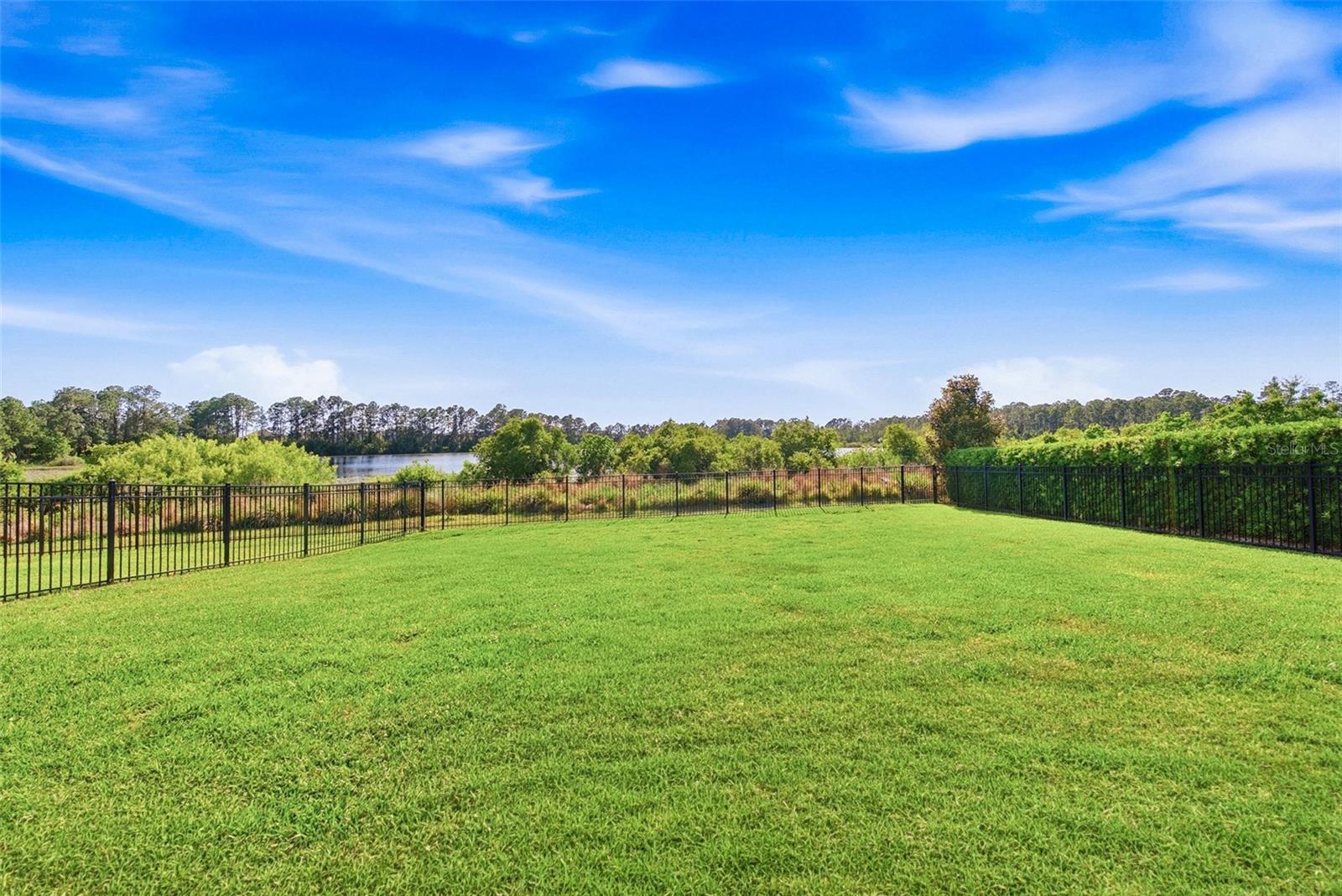 10174 Merrymeeting Bay Dr Property Photo 37
