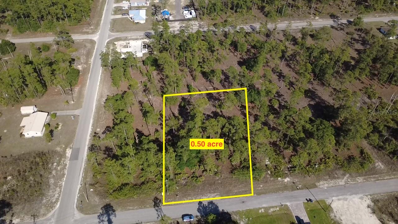 920 LOUIS AVE Property Photo 1