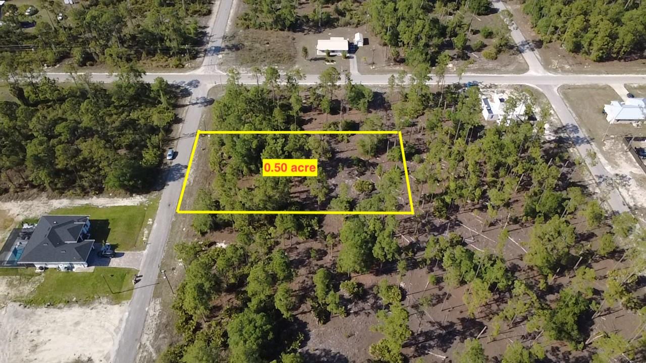 920 Louis Ave Property Photo 3