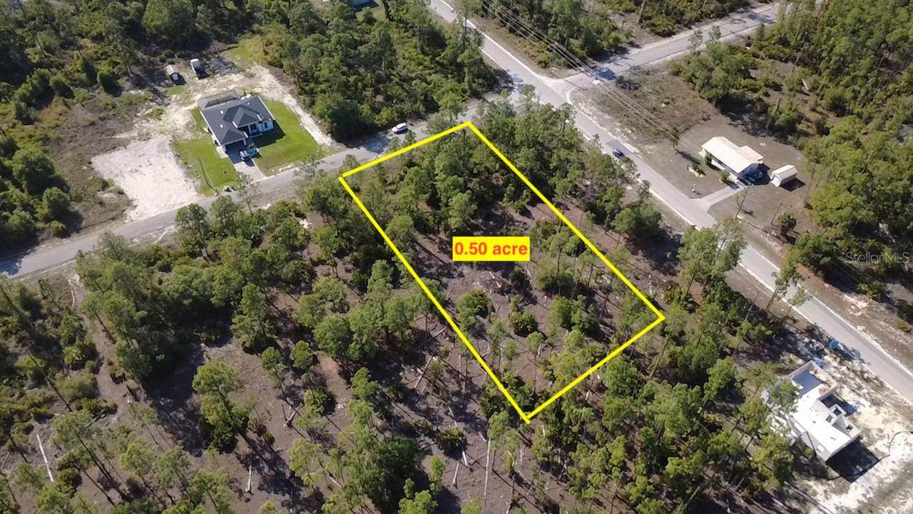 920 Louis Ave Property Photo 5