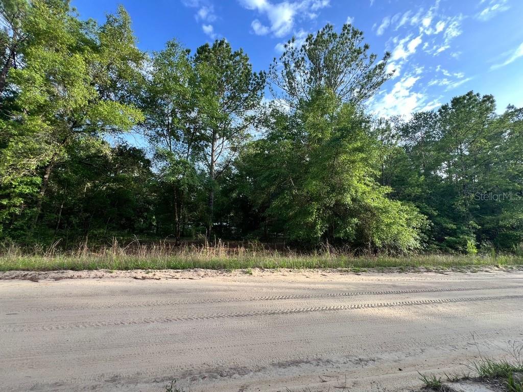 Decker Street Lot 12 13 Property Photo 2