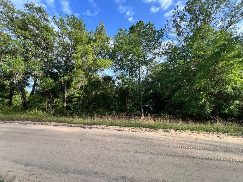 Decker Street Lot 12 13 Property Photo 3