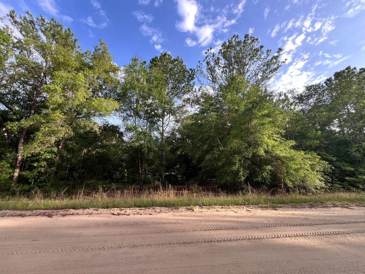 Decker Street Lot 12 13 Property Photo 4